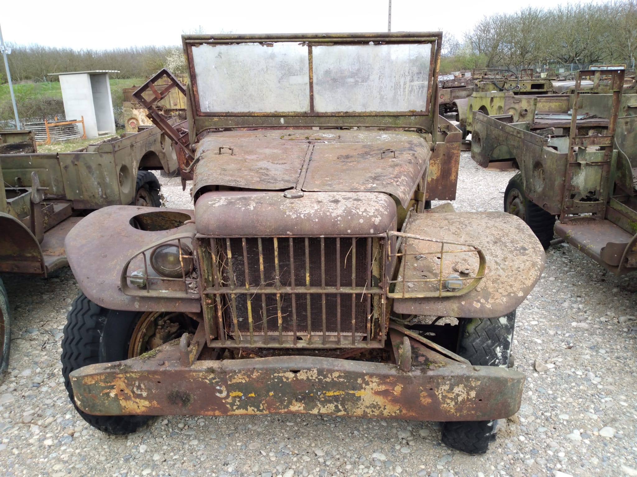 DODGE WC 51